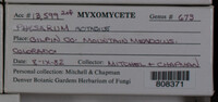 Image Associated With the Occurence